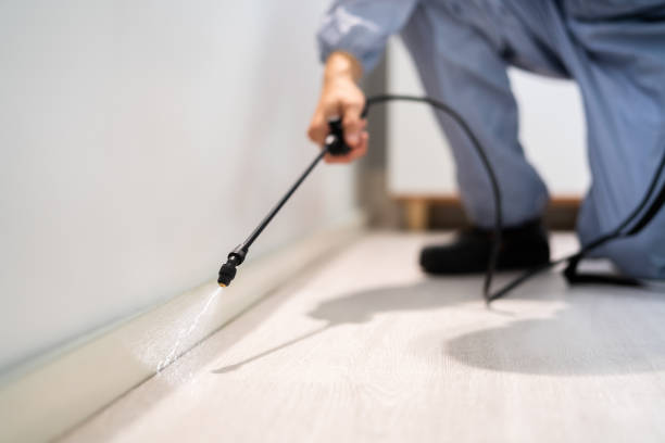 Licensed Mosquito Control service in Bonney Lake, WA - Show Me Pest Control