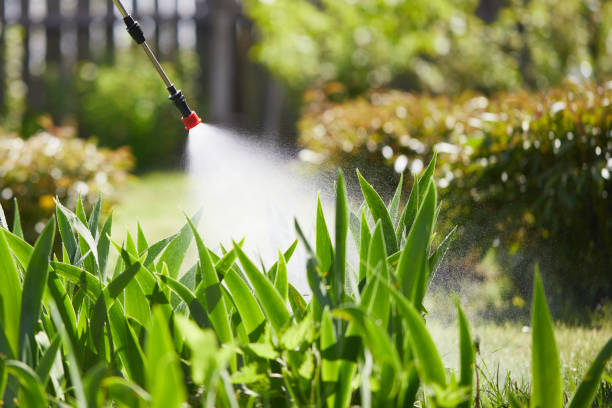 24/7 Emergency Mosquito Control experts in Bonney Lake, WA