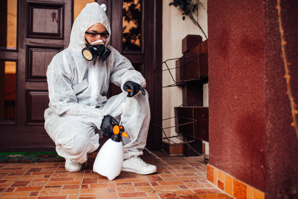 Reliable Mosquito Control contractor in Bonney Lake, WA by Show Me Pest Control